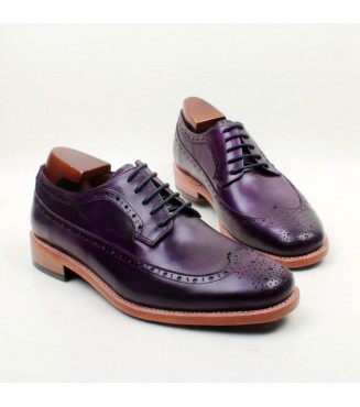 Special Order Shoe #64