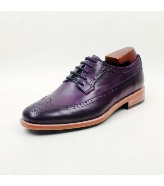 Special Order Shoe #64